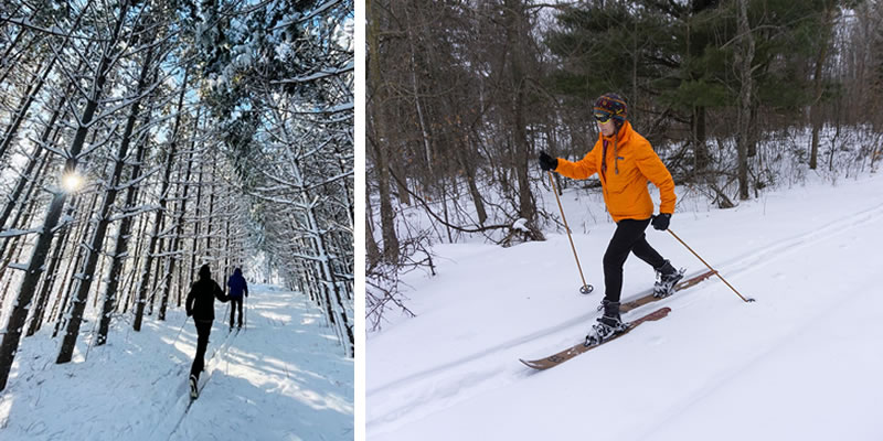 Cross-country skiers on a snowy forest trail and a skier in an orange jacket classic striding.