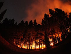 Wildfires