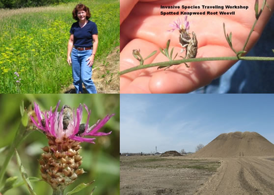 County Ag Inspector