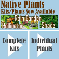 Native Plant Orders online store