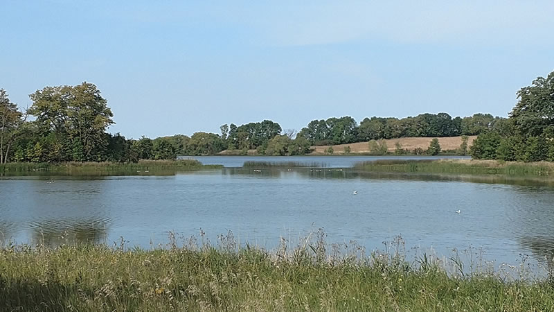 Award Recipient's Land 1