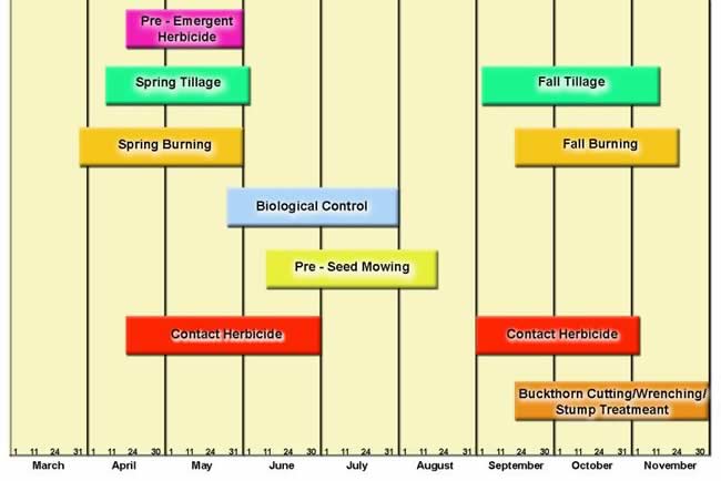 Weed Management Timeline. Text description link below image.